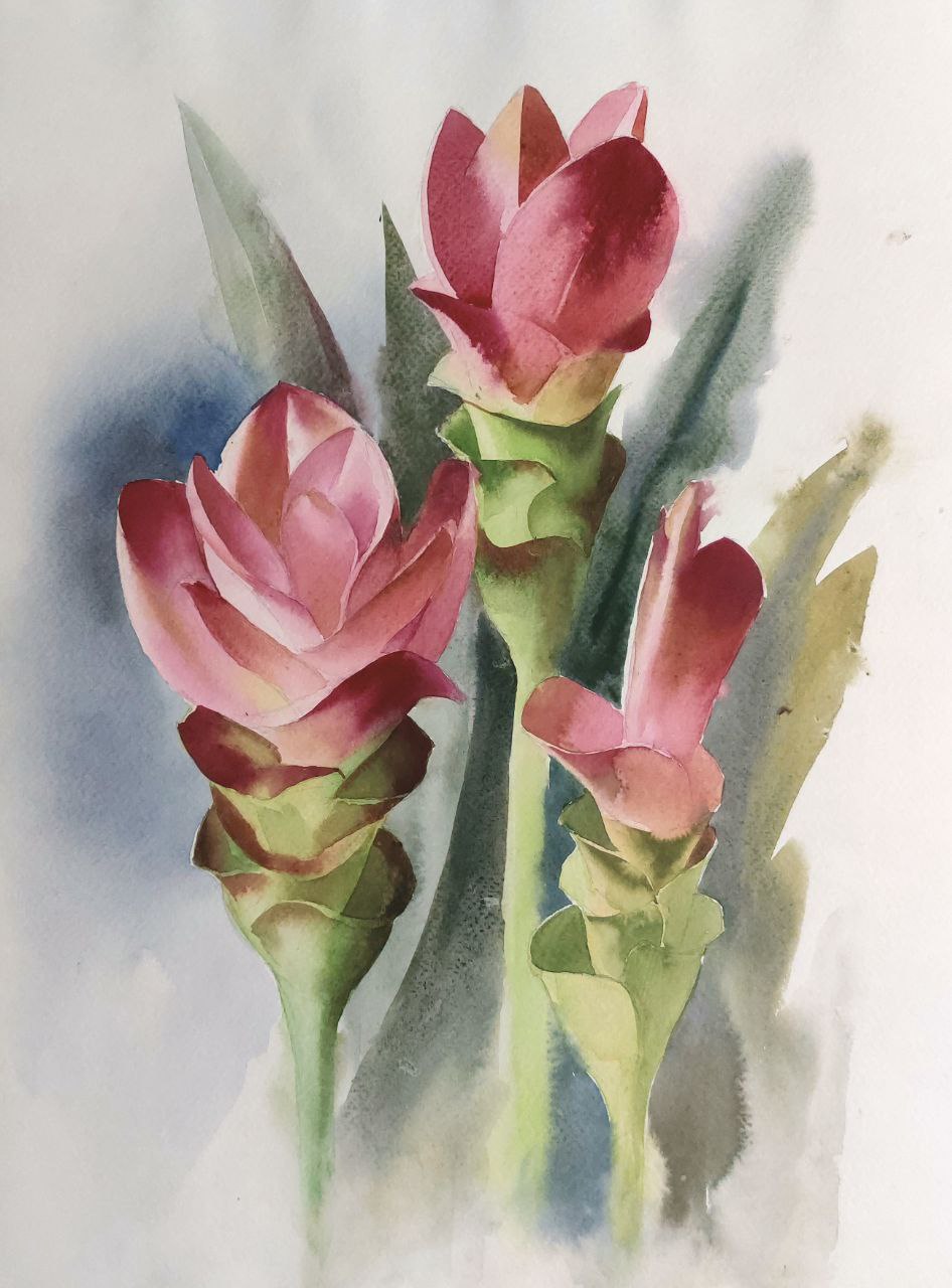 Акварельные экзерсисы